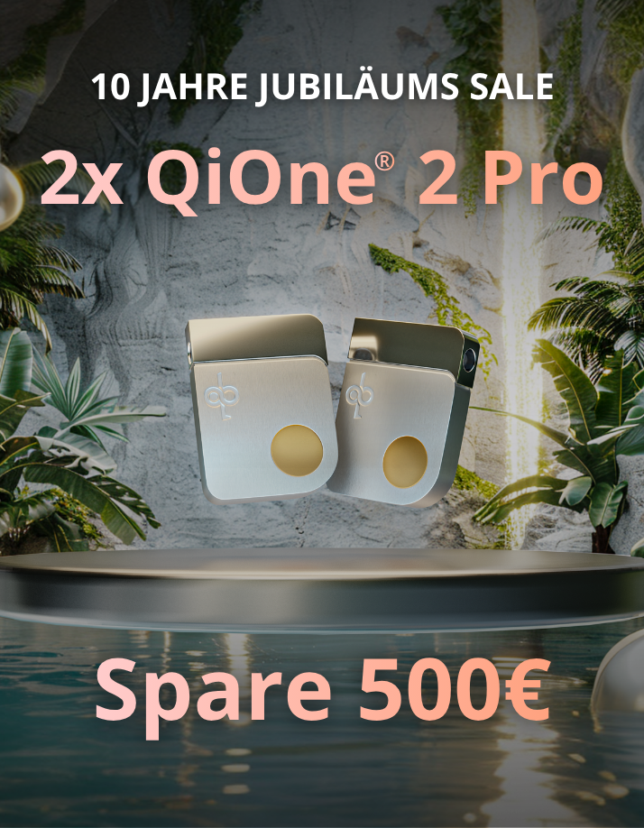 2x QiOne 2 Pro