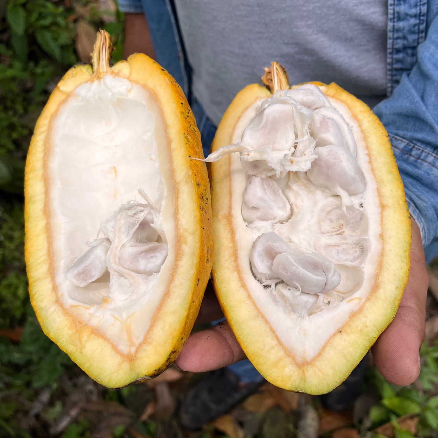 Awake® – 28 Tage Fokus