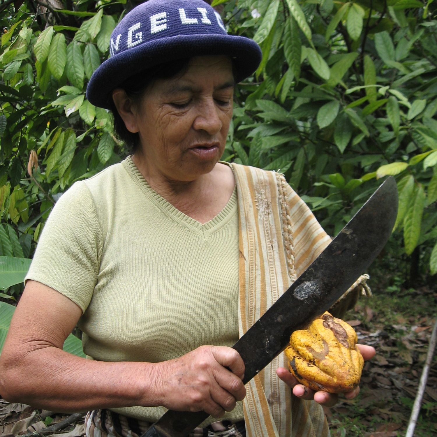 Awake® – 28 Tage Fokus