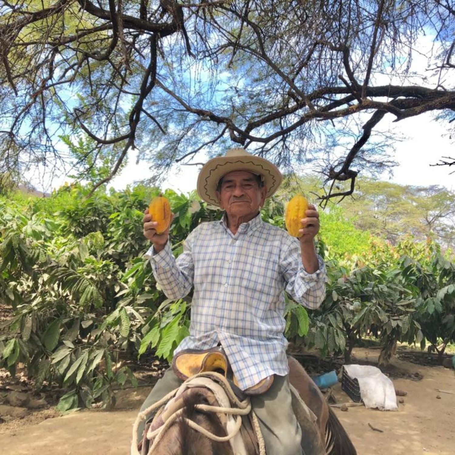 Awake® – 28 Tage Fokus